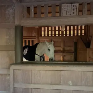 マーマノンマーマ