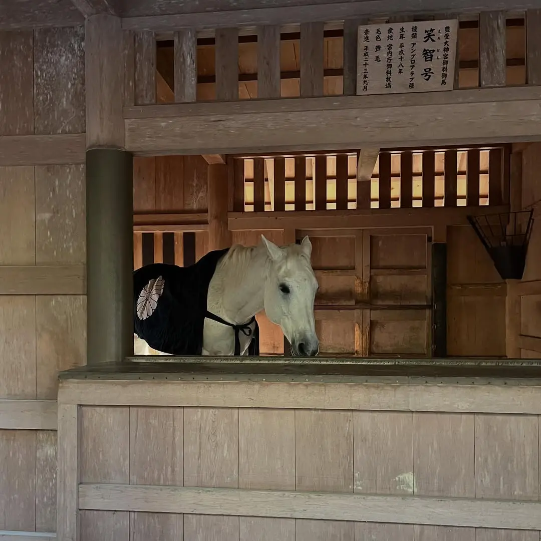 マーマノンマーマ