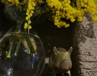 マーマノンマーマ