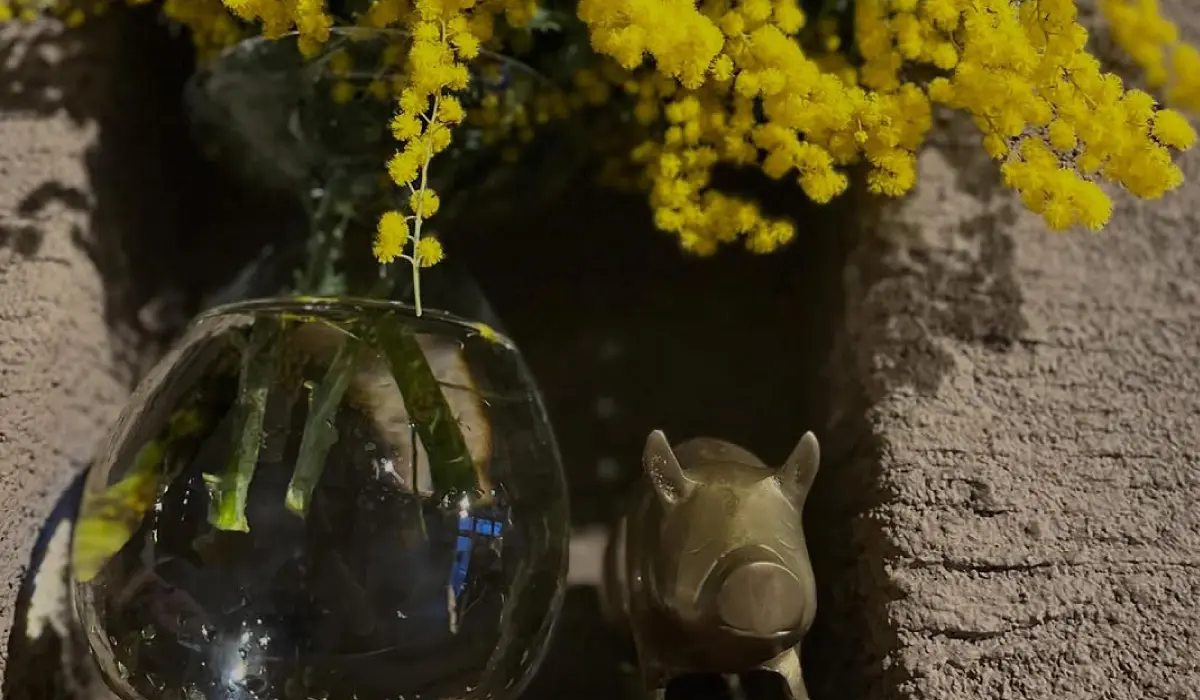 マーマノンマーマ